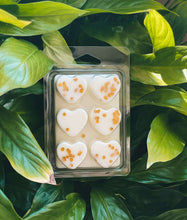 Load image into Gallery viewer, Cupid&#39;s Arrow wax melt scented with amber cedar and oud surrounded by plants

